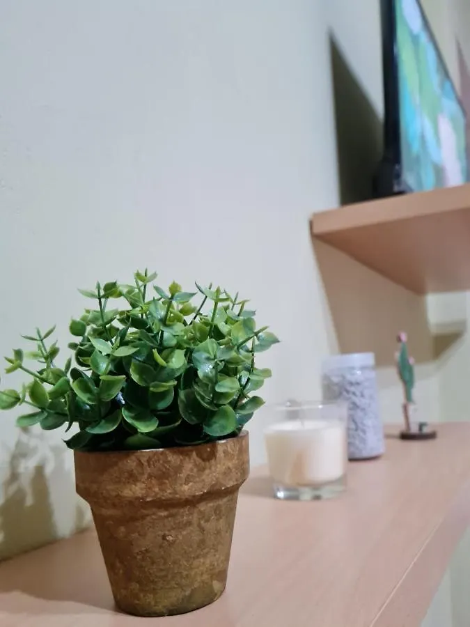 Ex-Block District Charming Studio Apartment With Treeish Sorrounding View! Tirana